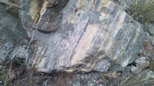 Гигантские зелёные валуны для ландшафтного дизайна весом более 5 тонн купить в Нижней Туре