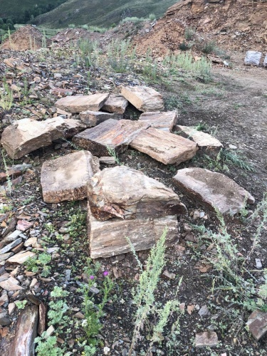 Плитняк кора дерева 50-100мм для пошаговых дорожек купить в Нижней Туре